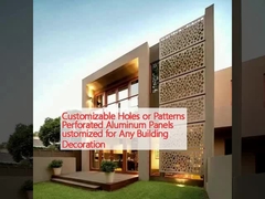 Các lỗ hoặc mô hình tùy chỉnh Các tấm nhôm lỗ được tùy chỉnh cho bất kỳ trang trí tòa nhà nào