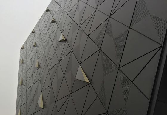 Perforation Màng kim loại mở rộng cho mặt tiền Màng kim loại trang trí tấm Màng kim loại mở rộng Màng kim loại màn mặt tiền